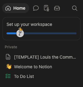 The duplicated page in the Notion sidebar