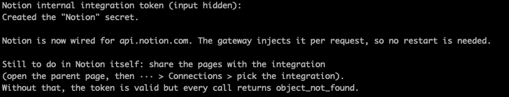 Successful Notion connection in terminal