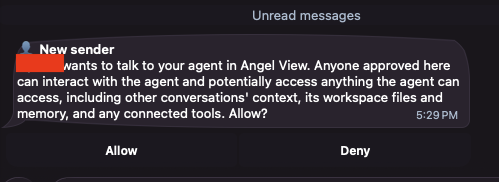 Louis's private message asking whether to allow the new sender in Angel View, with Allow and Deny buttons